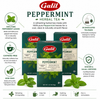 Galil Peppermint Herbal Tea, Bundle of 3 Boxes – 60 Individually Enveloped Tea Bags, Caffeine Free, Non-GMO, Kosher & Halal