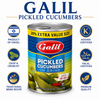 Galil Pickled Cucumbers in Brine, Mini Cucumbers 18–25 Count, 23 oz (650g), Traditional Israeli Pickles, Kosher & Halal Certified, Product of Israel – Pack of 1