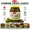 Galil Grape Leaves, 32 oz (907g), Premium Whole Vine Leaves in Brine, Non-GMO, Gluten Free, Kosher & Halal Certified, Product of Turkey