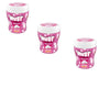 Must Sugar Free Fruit Mint Chewing Gum Jar – 65g (Pack of 3) | Refreshing Fruity Mint Gum | Kosher | Imported from Israel