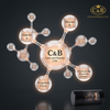 C&B Dead Sea Minerals Deodorant Platinum Edition For Men 80ml - KOSHERTOP