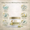 HB Dead Sea Minerals Olive Oil & Honey Body Cream – Deep Moisturizing Body Lotion for Dry Skin – Nourishing Hydrating Cream with Natural Minerals – Soft Smooth Skin Care for Women – 250 ml / 8.4 fl oz