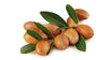 Health and Beauty Dead Sea Moroccan Aragan Oil Shampoo for Strong Shiny Hair