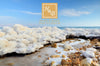 H&B Health & Beauty - Original Dead Sea Mud for Face and Body - Spa Quality, Natural Skincare for Women, Men - Paraben Free - 600g