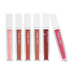 CARELINE Color Gloss High Shine Lip Gloss – Hyaluronic Acid Enriched Lip Shine | Crystal Shine Finish | Non-Sticky Hydrating Lip Gloss | Trendy Shades