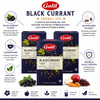 Galil Black Currant Herbal Tea, Bundle of 3 Boxes – 60 Individually Enveloped Tea Bags, Caffeine Free, Non-GMO, Kosher & Halal
