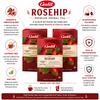 Galil Rosehip Herbal Tea, Bundle of 3 Boxes – 60 Individually Enveloped Tea Bags, Caffeine Free, Non-GMO, Kosher & Halal