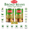 Galil Broad Beans (Large Fava Beans), 14 oz Cans, Premium Non-GMO Fava Beans, Ready to Eat, Kosher & Halal Certified, Product of EU – Pack of 2