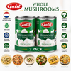 Galil Whole Mushrooms, 8 oz Cans, Premium Whole Button Mushrooms, Non-GMO, Kosher & Halal Certified, Product of Netherlands – Pack of 2