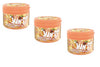 Elite Must Crunch Sugar-Free Peach Chewing Gum – 3 Pack (58g Each) | Crunchy Gum Pieces | Peach Flavor | Imported from Israel